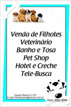Pet Shop, Veterinária, Hotel, Creche, Banho & Tosa, filhotes